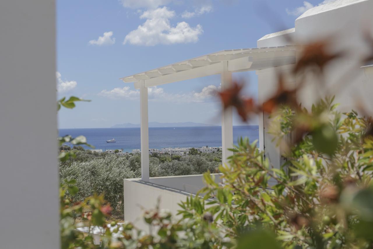 Ktima Vrisiana Platis Gialos (Sifnos) Exterior foto